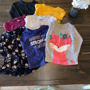 Long Sleeve Toddler Girl Shirt Bundle